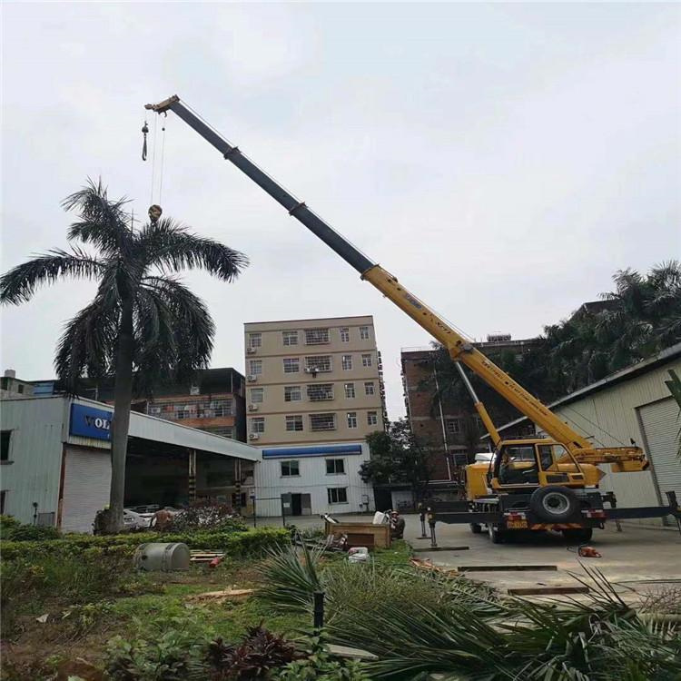 彭山汽车吊出租多少钱？全面解析与市场行情